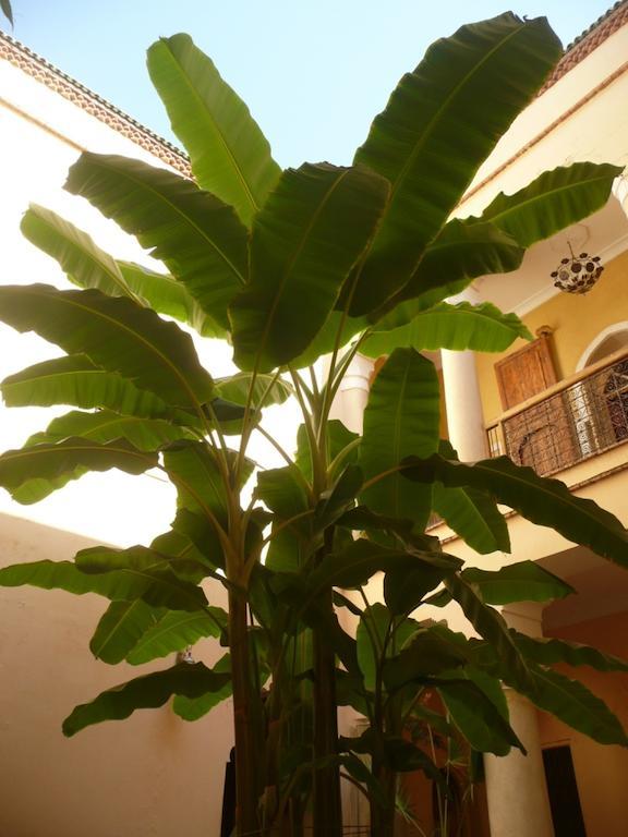 Riad Ker Saada Marrakesz Zewnętrze zdjęcie